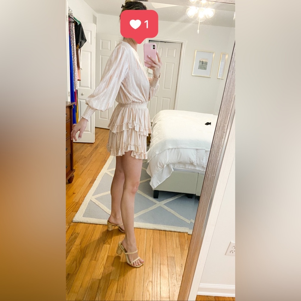 Misa Revolve Katia Dress in Blush Stripe - Picture 6 of 12